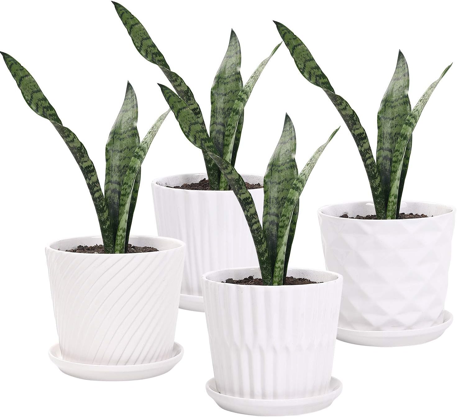 Plant Pots - 5.5 Inch Cylinder Ceramic Planters with Connected Saucer, Pots for Succuelnt and Little Snake Plants, Set of 4, White