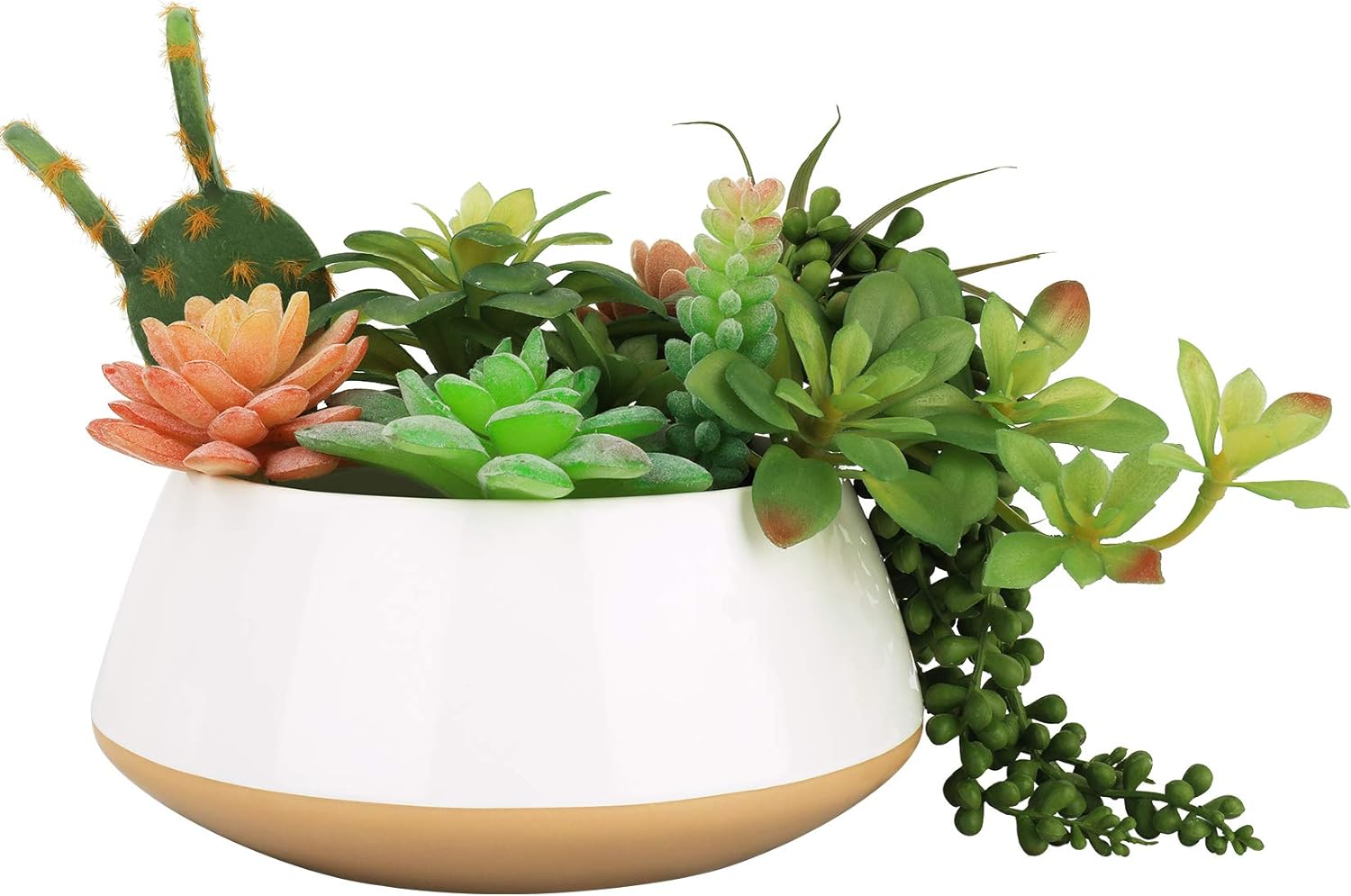 LA JOLIE MUSE Large Succulent Planter Plant Pots, Ceramic Indoor Outdoor Garden Pot with Drainage for Plant Flower, 8 Inch, Sandy Beige & White