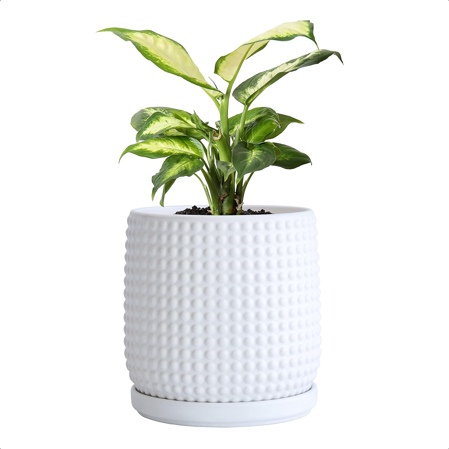 D'vine Dev 6 Inch Ceramic Beaded Stoneware Planter Pot - Flower Pot with Drainage Holes and Saucers for Indoor Succulent Plants or Flowers, Matte White, 27-N-B-W-M