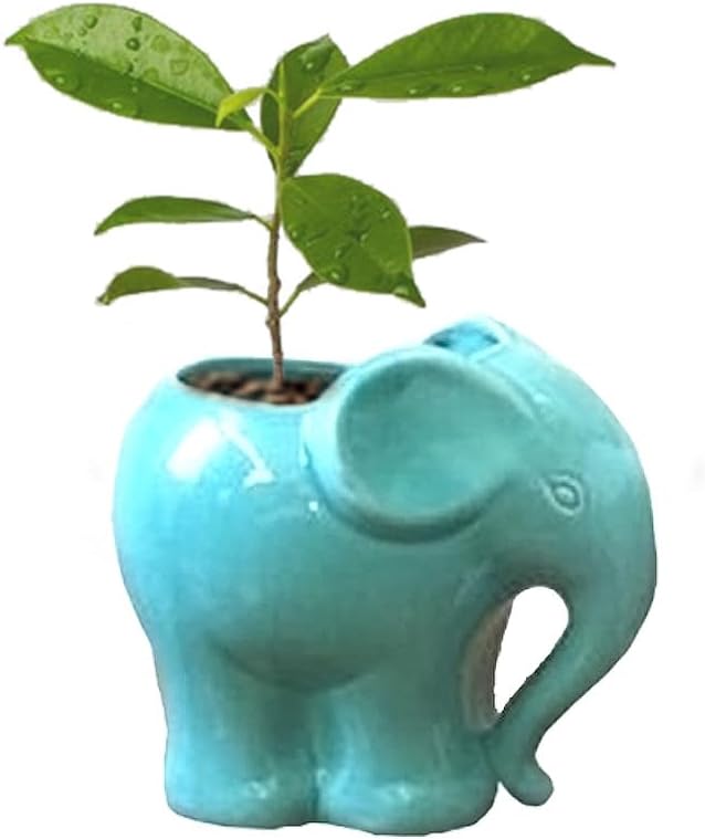 Cute Succulent Planter Flower Pot for Cactus Bonsai Garden Decoration, Blue Elephant